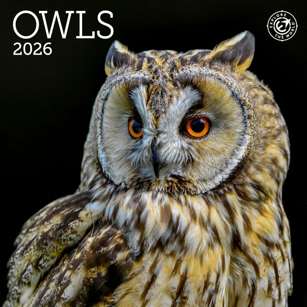 Owls 2026 Mini Wall Calendar Main Image