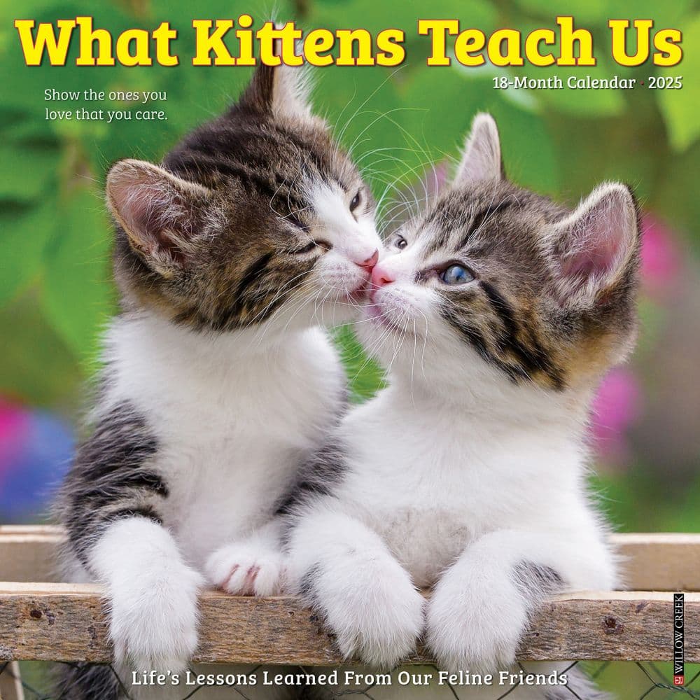 What Kittens Teach Us 2025 Wall Calendar Main Product Image width=&quot;1000&quot; height=&quot;1000&quot;