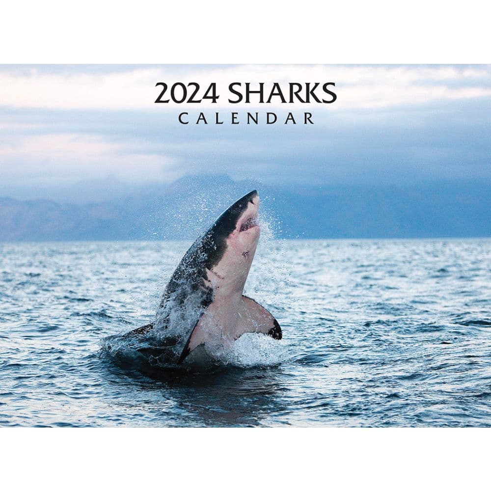 Sharks 2024 Wall Calendar -  Silver Creek Press, 612507224164