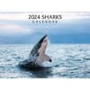 image Sharks 2024 Wall Calendar Main Product Image width=&quot;1000&quot; height=&quot;1000&quot;