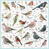 image Madeleine Floyd Birdsong 1000 Piece Puzzle Main Image