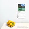 image Paradise 2025 Mini Wall Calendar