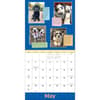 image We Rate Dogs 2026 Wall Calendar Fourth Alternate Image