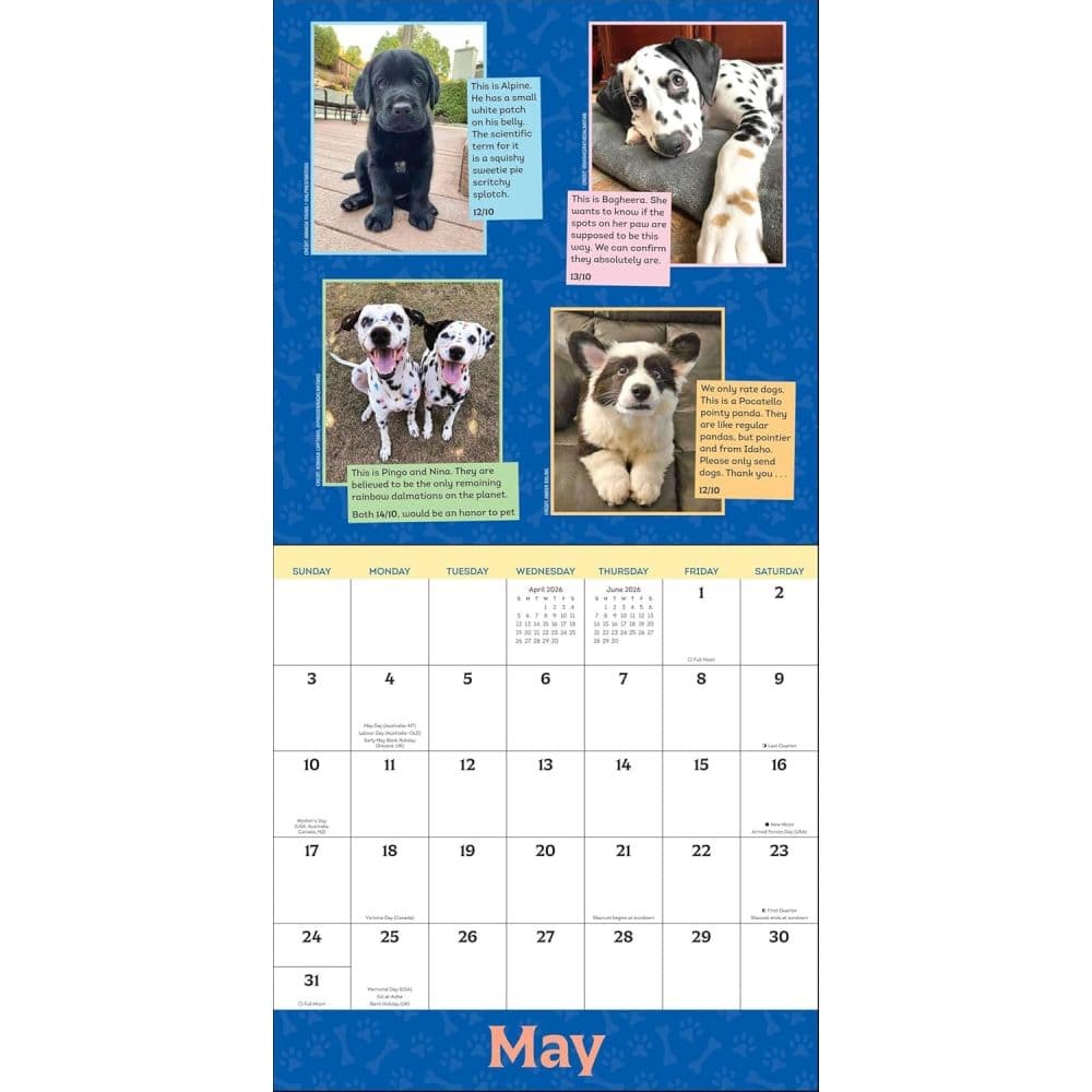 We Rate Dogs 2026 Wall Calendar Fourth Alternate Image