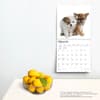 image Chihuahua Puppies 2024 Wall Calendar Third Alternate Image width=&quot;1000&quot; height=&quot;1000&quot;