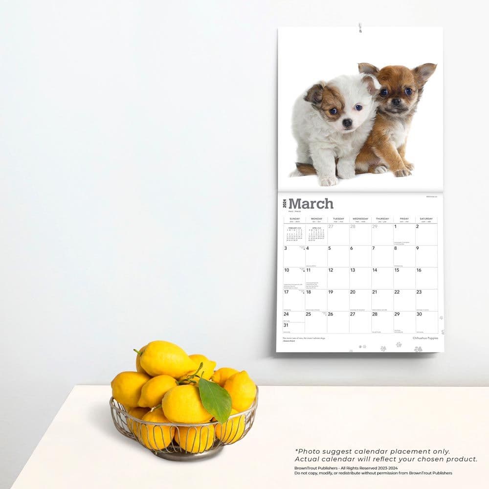 Chihuahua Puppies 2024 Wall Calendar Third Alternate Image width=&quot;1000&quot; height=&quot;1000&quot;