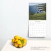 image Point of Light 2025 Wall Calendar