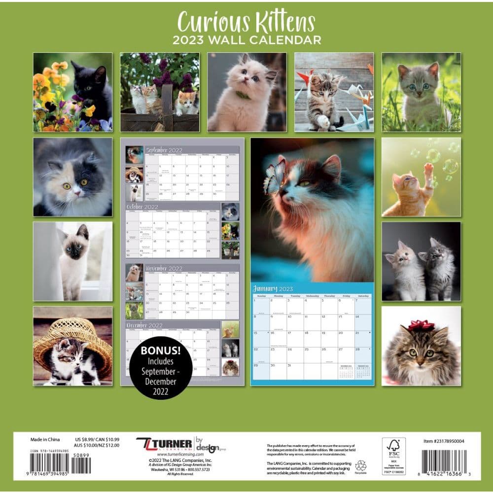 E3 2023 Calendar Curious Kittens 2023 Mini Wall Calendar - Calendars.com