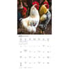 image Chickens 2026 Wall Calendar Second Alternate Image