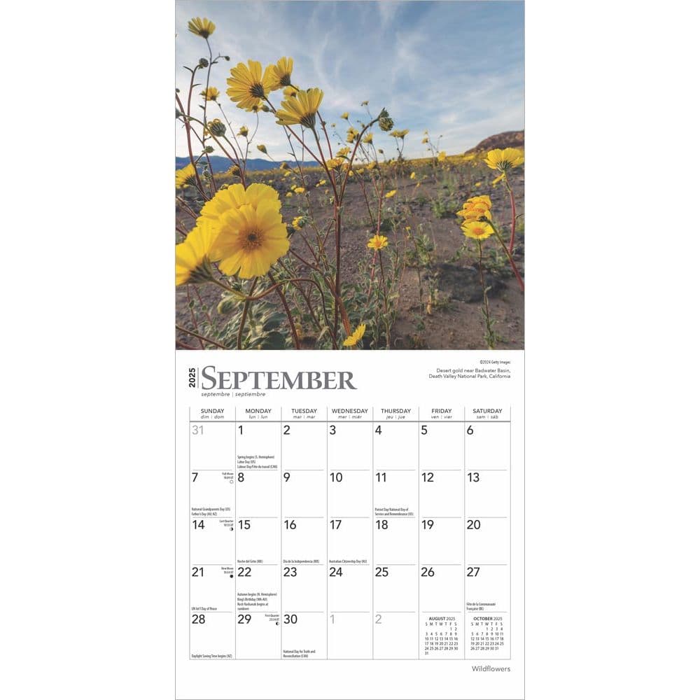 2025 Mini Calendar Wildflowers