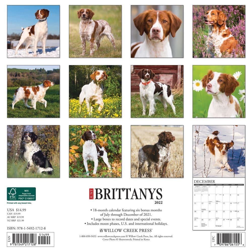 dog breed calendar Free Shipping Just Brittanys 2021 Wall Calendar 