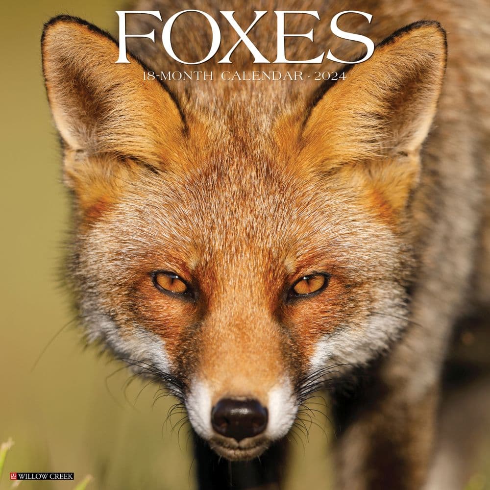 Foxes 2024 Wall Calendar Calendars Com   E948cfa4 Db84 4c03 Ab5f 4169ddb7ec8e