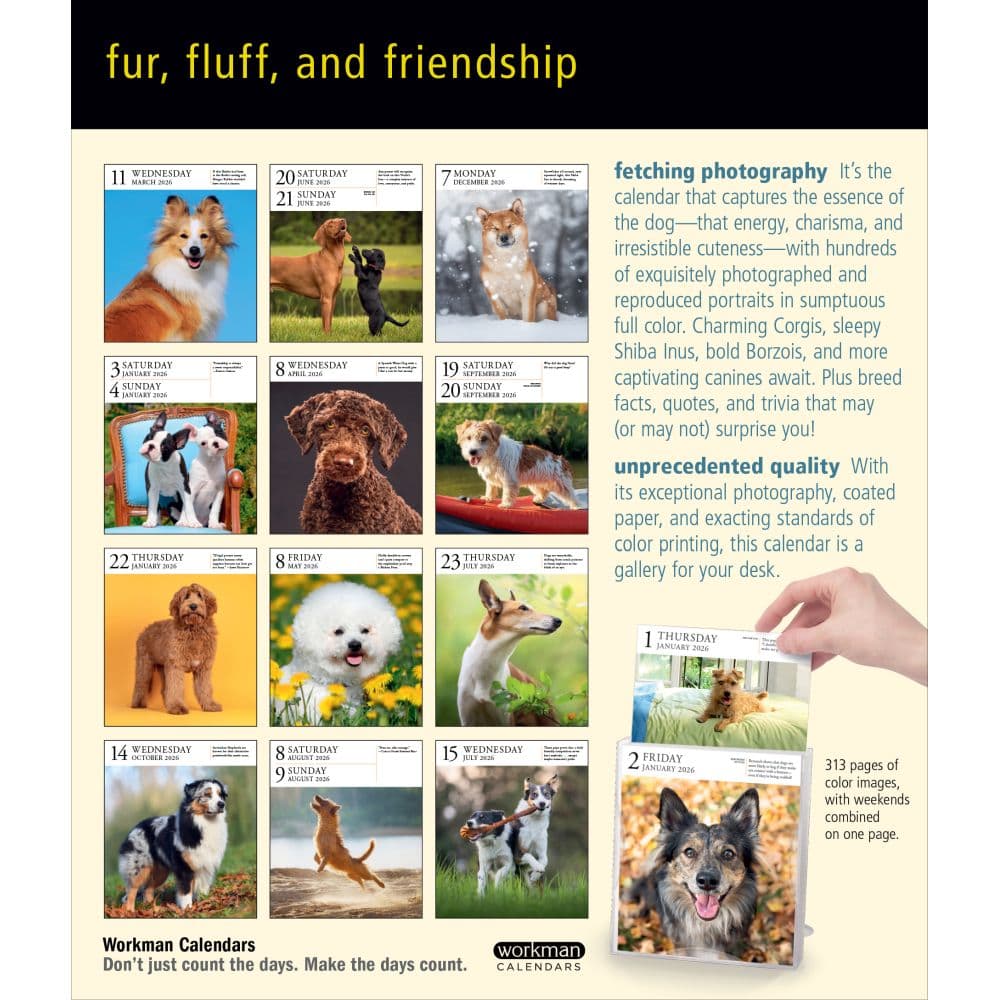 Dog Gallery 2026 Desk Calendar First Alternate Image