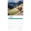 image Llamas 2025 Wall Calendar Second Alternate Image