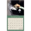 image Kittens by Sueellen Ross 2026 Wall Calendar Second Alternate Image