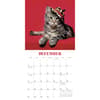 image Cats in Hats 2025 Mini Wall Calendar Third Alternate Image width=&quot;1000&quot; height=&quot;1000&quot;