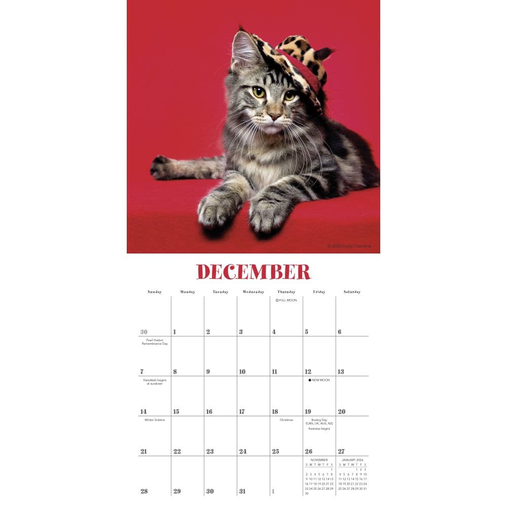 Cats in Hats 2025 Mini Wall Calendar Third Alternate Image width=&quot;1000&quot; height=&quot;1000&quot;