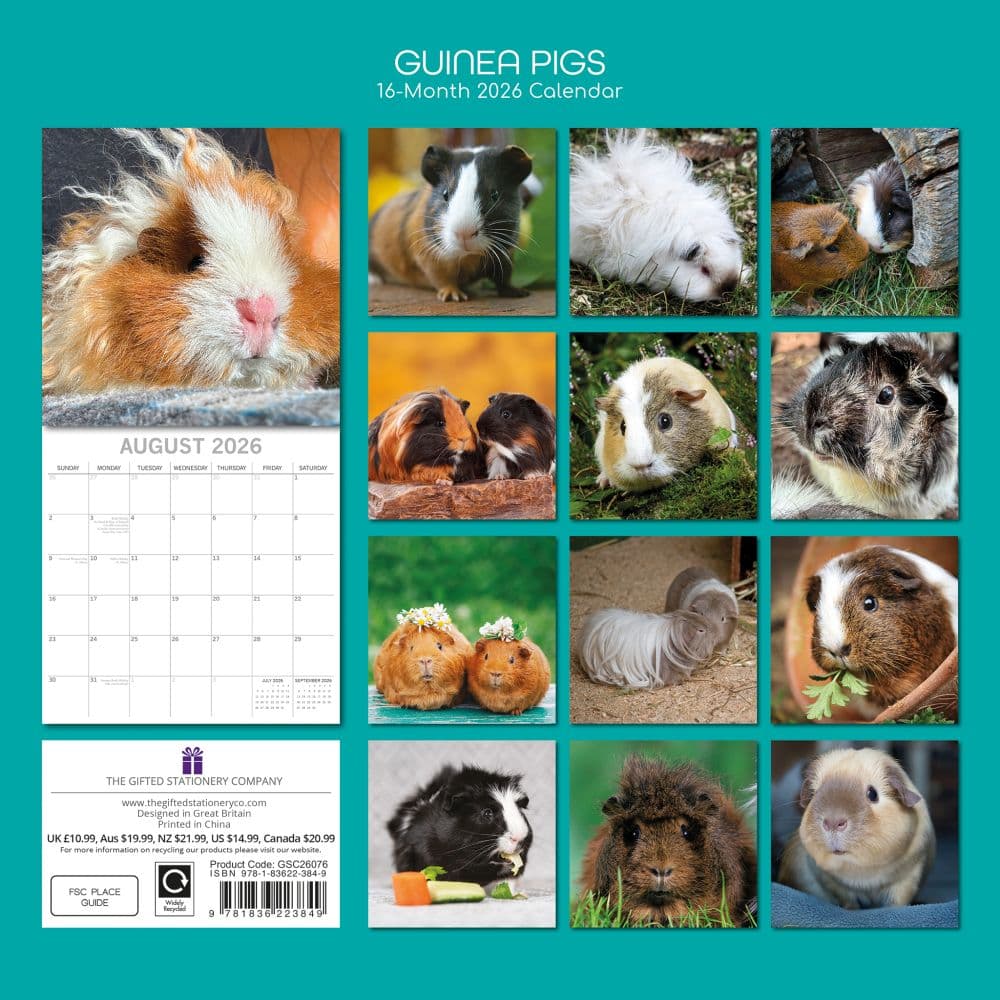 Guinea Pigs 2026 Wall Calendar First Alternate image