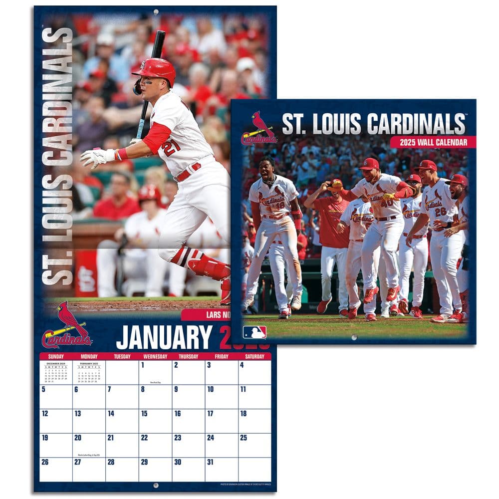 MLB St Louis Cardinals 2025 Mini Wall Calendar First Alternate Image