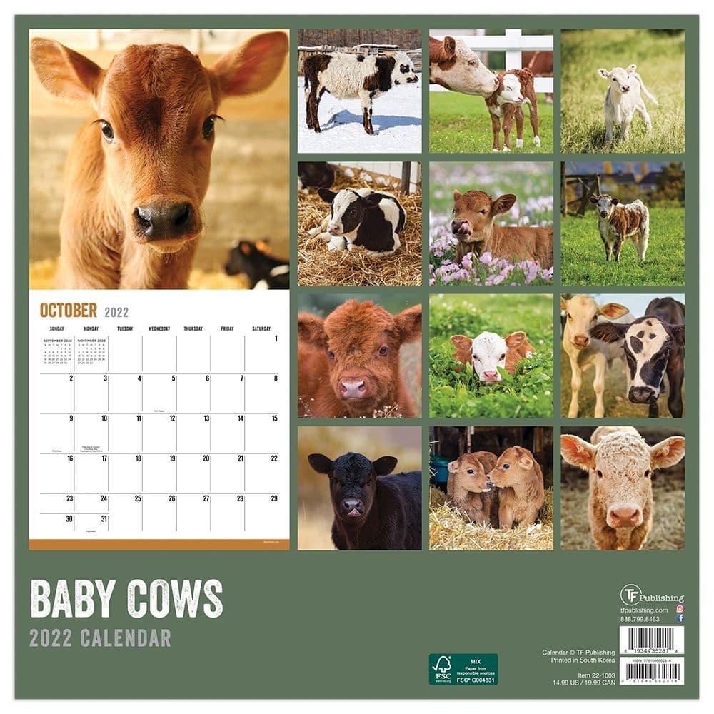 Baby Cows 2022 Wall Calendar - Calendars.com