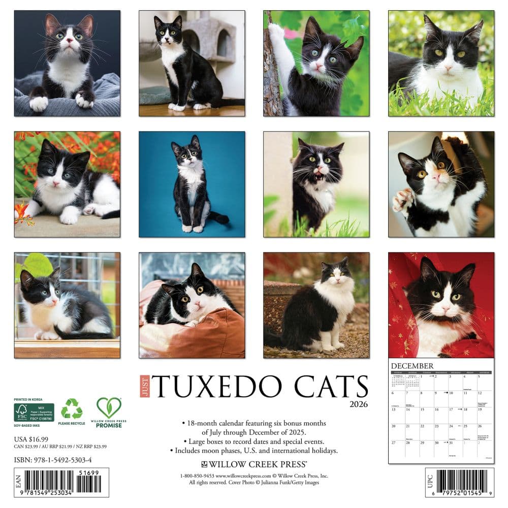 Tuxedo Cats 2026 Wall Calendar First Alternate Image
