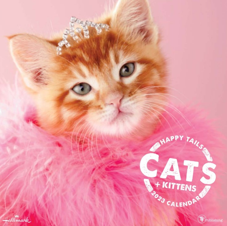TF Publishing Happy Tails Cats + Kittens Celebrating the Seasons 2023 Wall Calendar