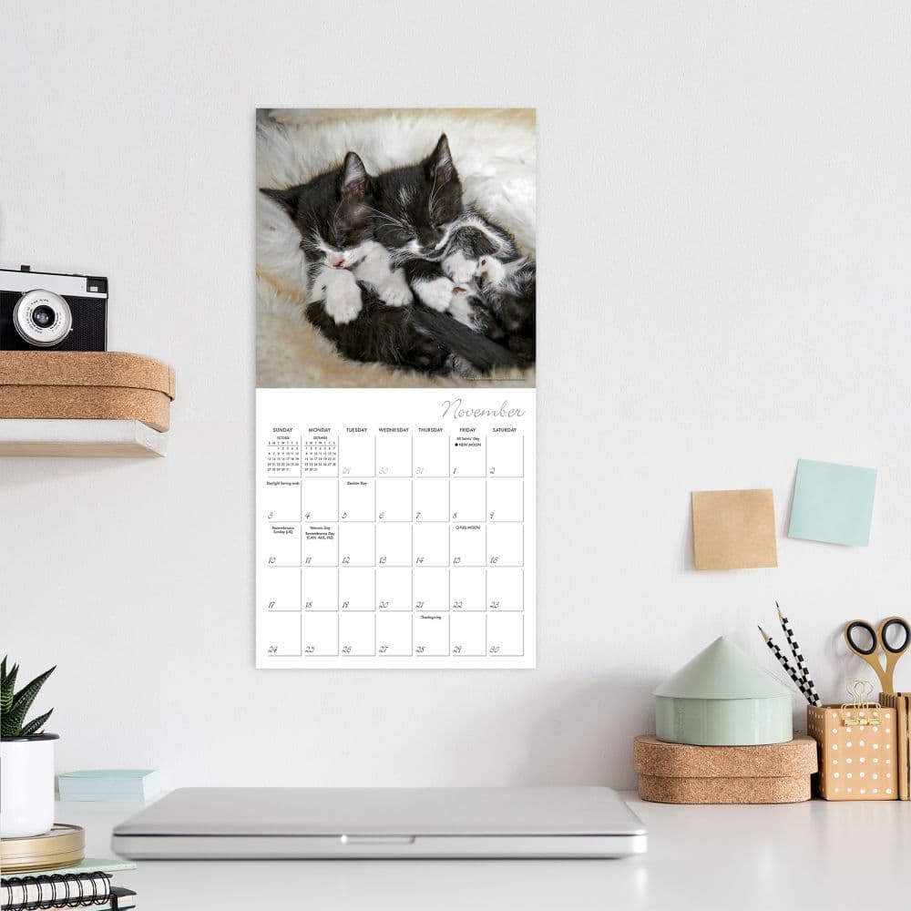 Cat Naps 2024 Mini Wall Calendar