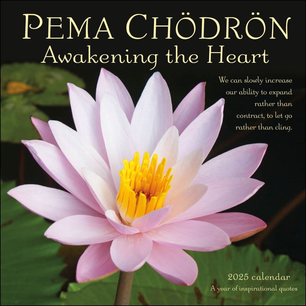 Pema Chodron 2025 Wall Calendar Main Product Image width=&quot;1000&quot; height=&quot;1000&quot;