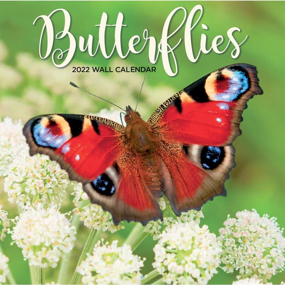 4 Best Butterfly Calendars 2022 - CalendarBuy.com