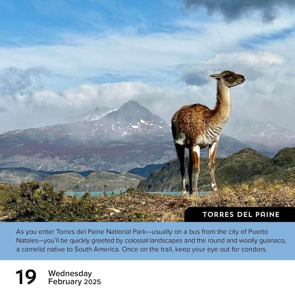 Walks of the World 2025 Desk Calendar Alternate 8