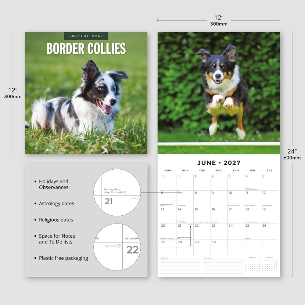 Border Collies 2027 Wall Calendar Third Alternate Image