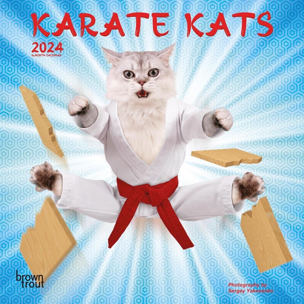 Karate Cats 2024 Mini Wall Calendar Main Product Image width=&quot;1000&quot; height=&quot;1000&quot;