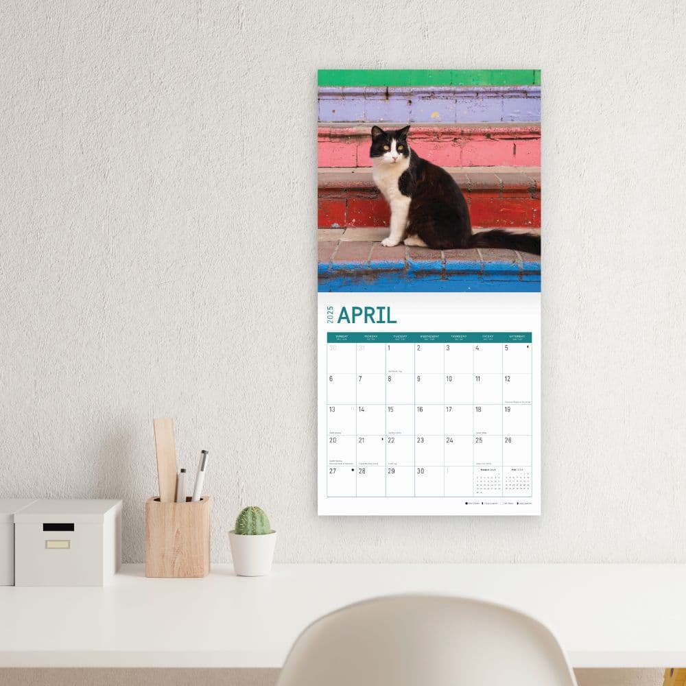 Tuxedo Cats 2025 Wall Calendar Third Alternate Image width=&quot;1000&quot; height=&quot;1000&quot;