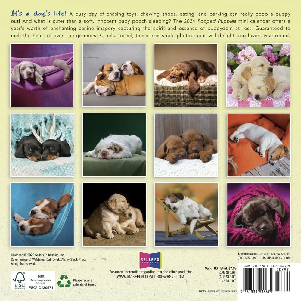 Pooped Puppies 2024 Mini Wall Calendar