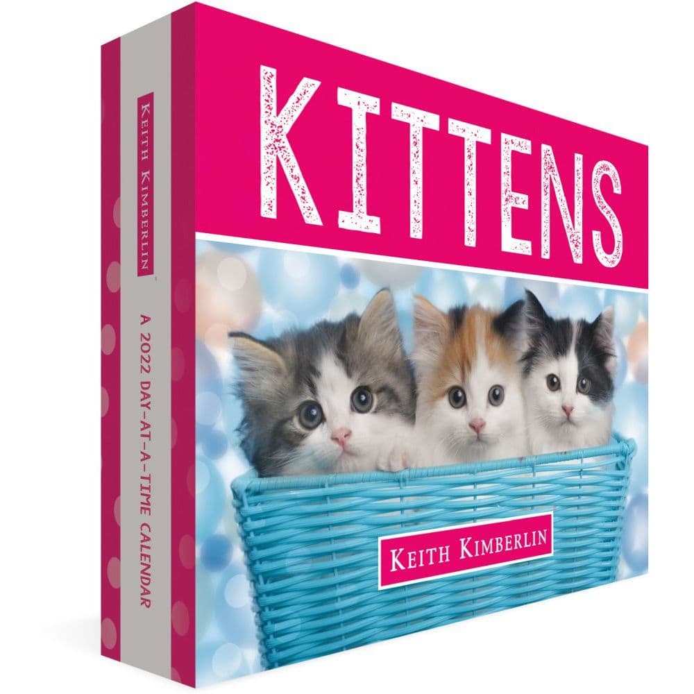 Kittens Kimberlin 2022 Desk Calendar