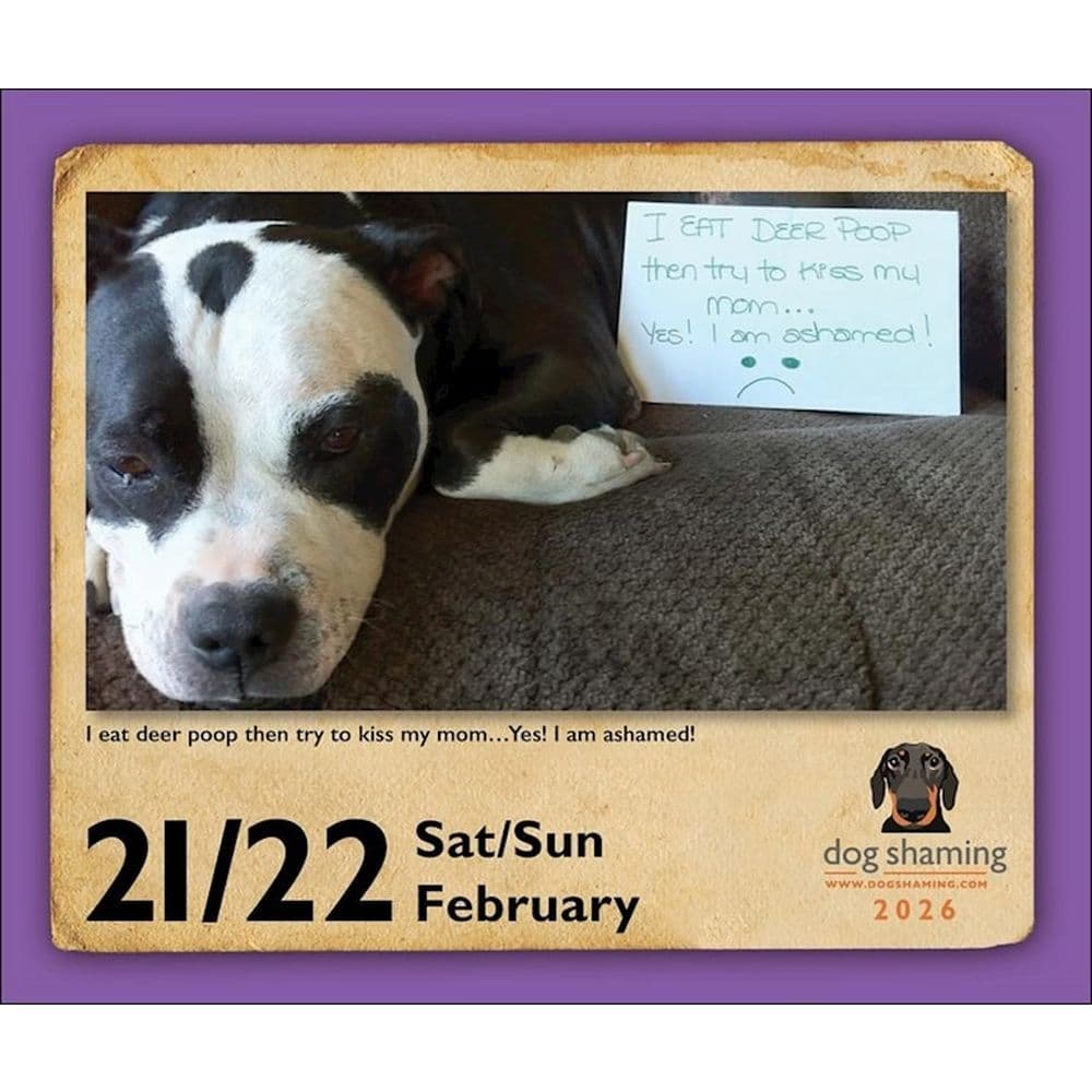 Dog Shaming 2026 Desk Calendar Second Alternate Image
