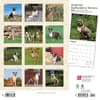 image American Staffordshire Terriers 2024 Wall Calendar First Alternate Image width=&quot;1000&quot; height=&quot;1000&quot;