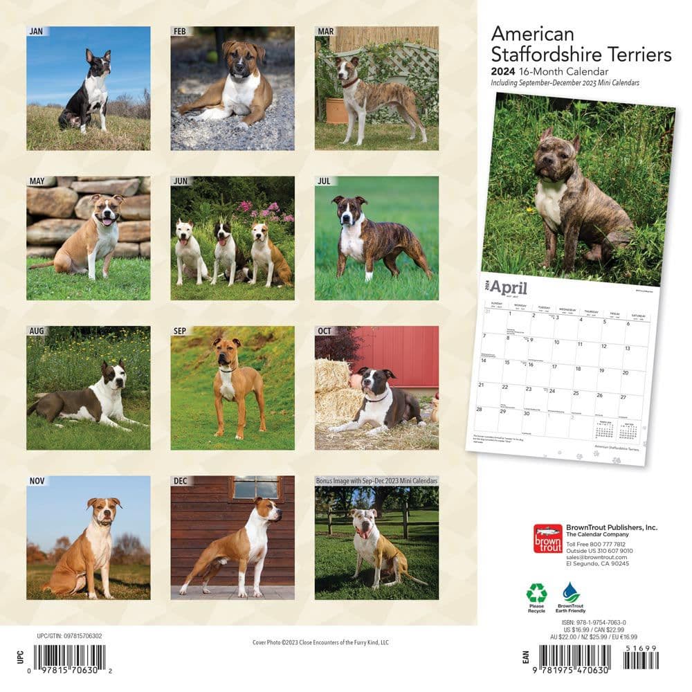 American Staffordshire Terriers 2024 Wall Calendar First Alternate Image width=&quot;1000&quot; height=&quot;1000&quot;