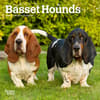 image Basset Hound 2025 Mini Wall Calendar Main Product Image width=&quot;1000&quot; height=&quot;1000&quot;