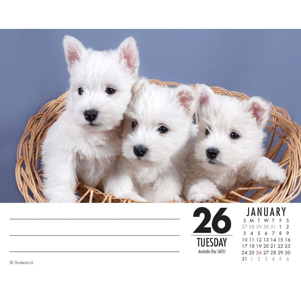 Just Westies Desk Calendar