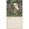 image Puppies by Sueellen Ross 2026 Wall Calendar Second Alternate Image