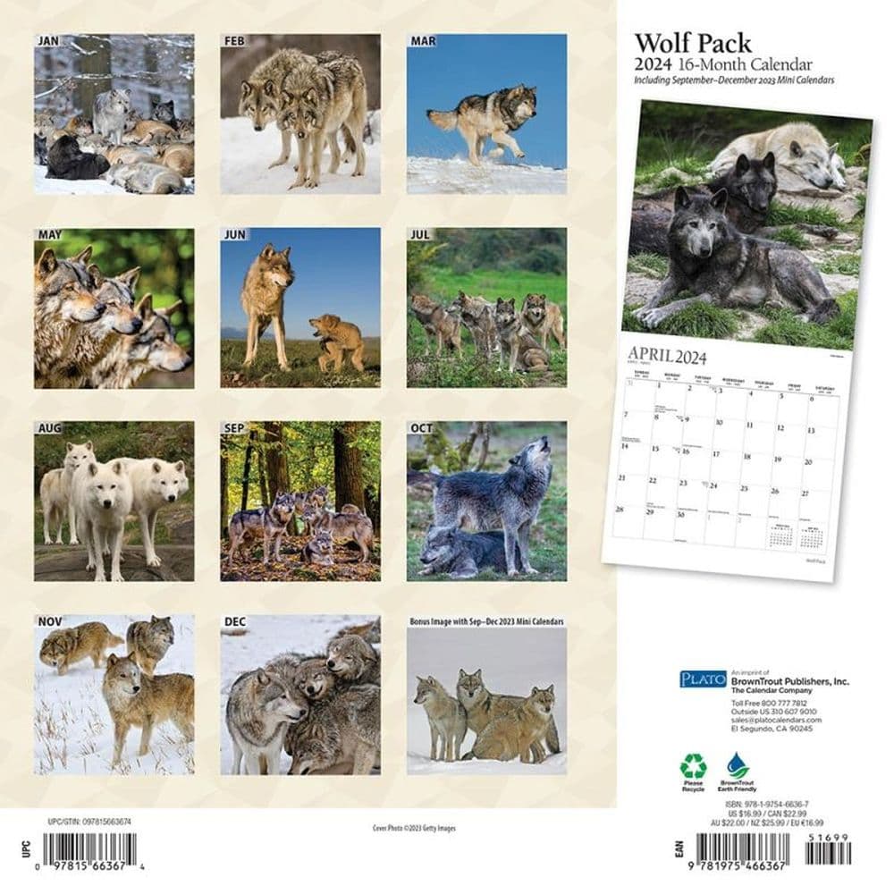 Wolf Pack 2024 Wall Calendar First Alternate Image width=&quot;1000&quot; height=&quot;1000&quot;