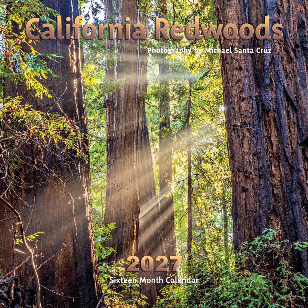 California Redwoods 2027 Wall Calendar Main Product Image