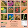 image Cactus 2026 Wall Calendar First Alternate Image