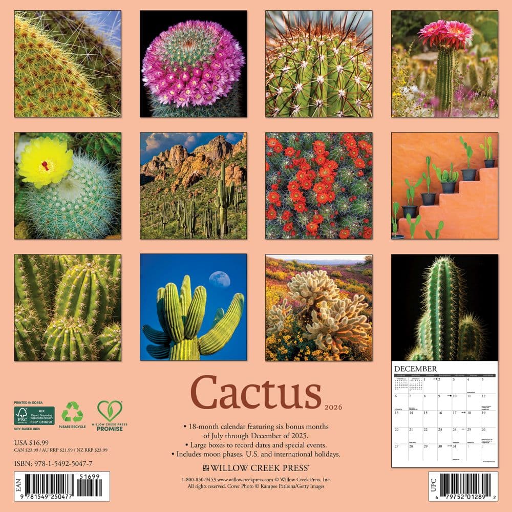 Cactus 2026 Wall Calendar First Alternate Image