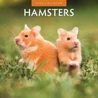 image Hamsters 2026 Wall Calendar Main Product Image