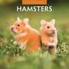 image Hamsters 2026 Wall Calendar Main Product Image