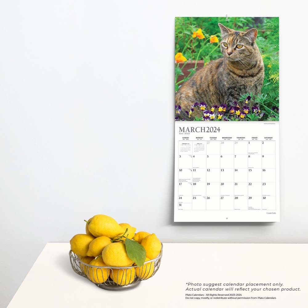 I Love Cats 2024 Wall Calendar Alternate Image 3