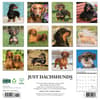 image Just Dachshunds 2025 Wall Calendar