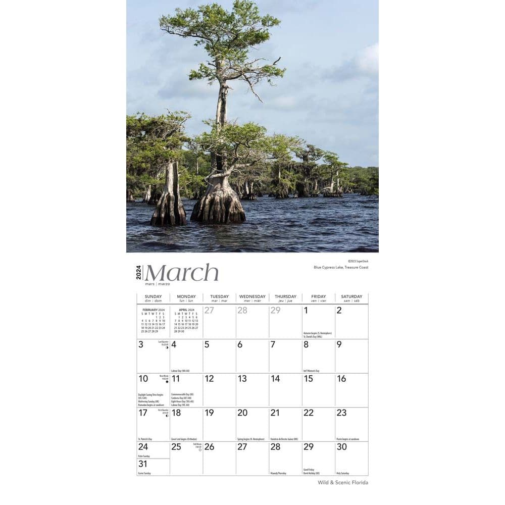 Florida 2024 Mini Wall Calendar